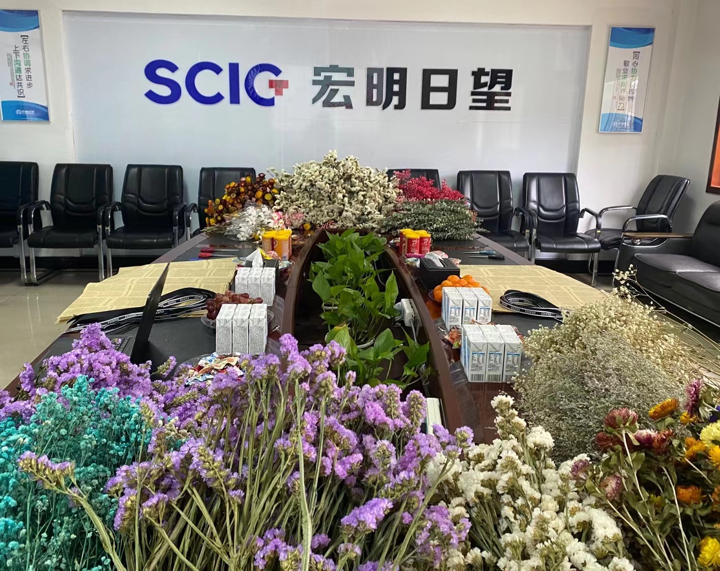 j9体育平台,宏明日望,株洲电子科技,湖南电容器,株洲电容器,电容器