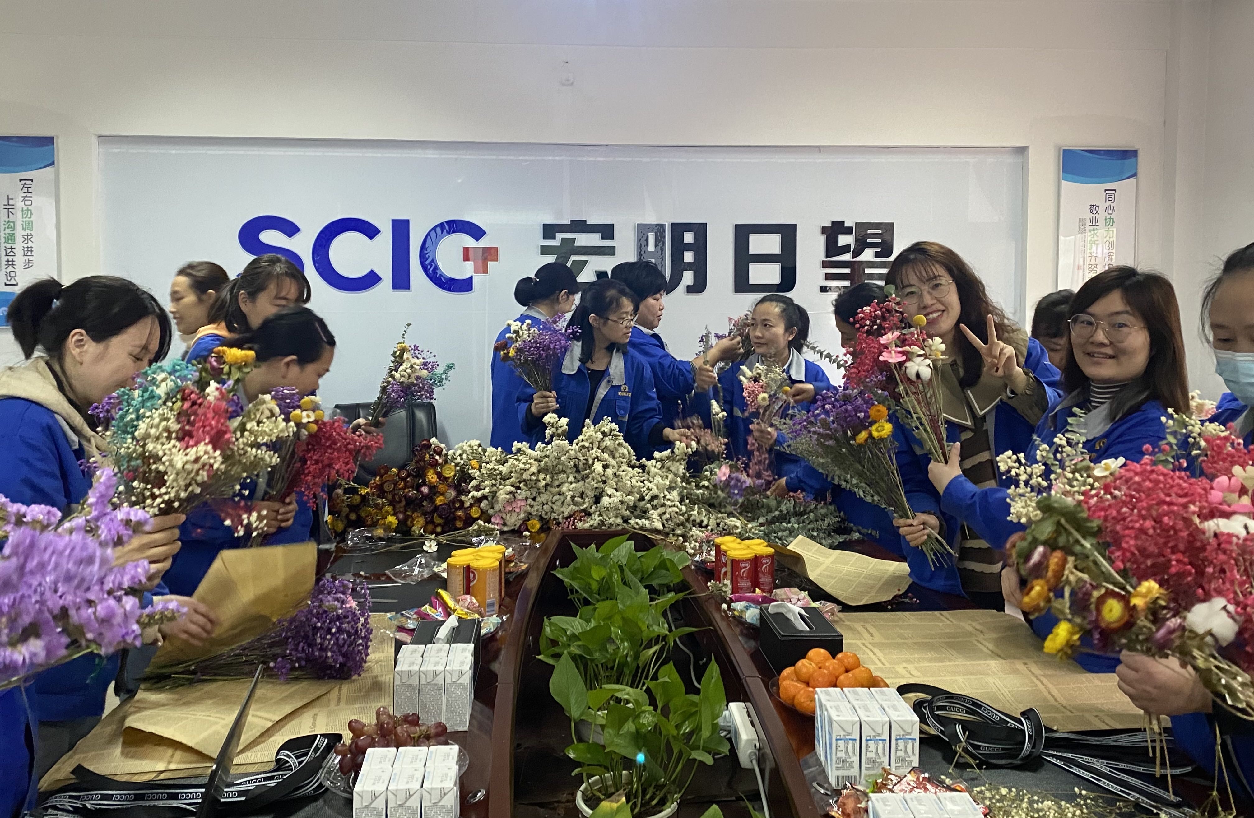 j9体育平台,宏明日望,株洲电子科技,湖南电容器,株洲电容器,电容器